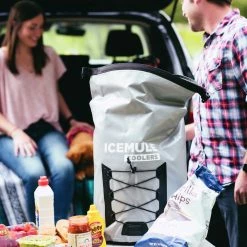 IceMule Pro Large 23L -Gregory shop 1014 grey lifestyle 3 rsz 87602.1649872447