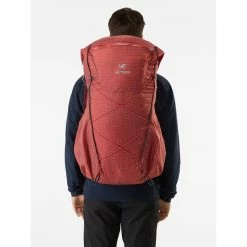 Arc'teryx Aerios 45 - Men's 27 Arc'teryx Aerios 45 - Men's -Gregory shop Aerios 45 Backpack Sedona Back View rsz 28206.1663280686