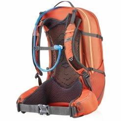 Gregory Juno 30 H20 - Women's (Fall 2022) -Gregory shop GMP Juno30H2O CoralRed Back34 rsz 05700.1656354797