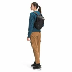 The North Face Borealis Mini Backpack -Gregory shop NF0A52SW WBW modelback rsz 41834.1651165831