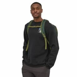 Patagonia Refugio Day Pack 26L -Gregory shop WBF22 47913 GIPI TL2 rsz 35750.1673641818