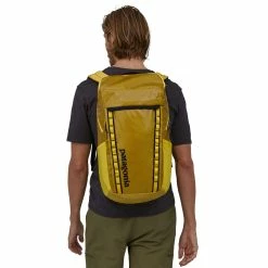 Patagonia Black Hole Pack 32L -Gregory shop WBS23 49301 SHNY CS1 rsz 45481.1676338753