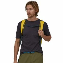 Patagonia Black Hole Pack 32L -Gregory shop WBS23 49301 SHNY CS2 rsz 81582.1676338753