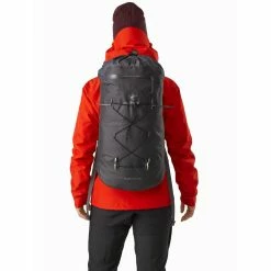 Arc'teryx Alpha FL 30 Backpack -Gregory shop alpha fl 30 backpack carbon copy back view rsz 15610.1651086862