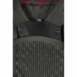 Osprey Archeon 25 - Women's (Fall 2020) -Gregory shop archeon25 s20 detail6 mudred rsz 70503.1667414080