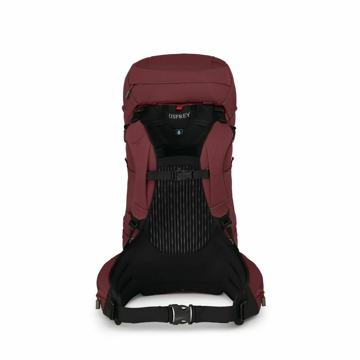 Osprey Archeon 45 - Women's (Fall 2021) 4 Osprey Archeon 45 - Women's (Fall 2021) - Image 4