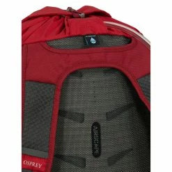 Osprey Daylite Cinch Pack -Gregory shop daylitecinch s21 detail2 cosmicred rsz 61979.1655831771