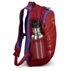 Osprey Daylite - Kid's -Gregory shop daylitekids s20 detail1 cosmicred rsz 03470.1668463377