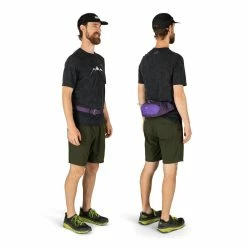 Osprey Daylite Waist -Gregory shop dayltwsts21 s21 body1 dreampurple rsz 11480.1675820055