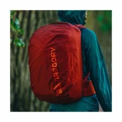 Gregory Tetrad 40 - Men's -Gregory shop gmp f19 tetrad40 3 rain security 42734.1626822948