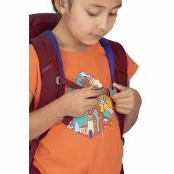 Osprey Jet 18 - Kid's -Gregory shop jet18 s20 detail13 cosmicred rsz 71280.1626823096